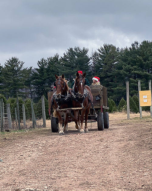horses and wagon