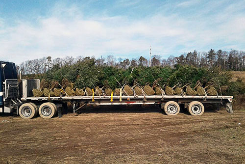 wholesale truck